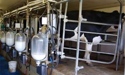 سازمان حمایت قیمت جدید شیرخام را اعلام کرد