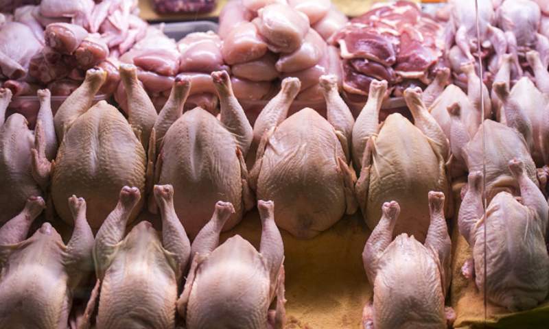 قیمت مرغ در بازار رو به کاهش است