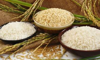 مجلس با حذف ارز دولتی واردات برنج مخالف است