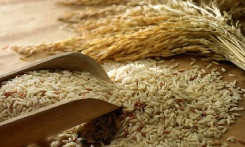 قاچاق برنج منتفی است