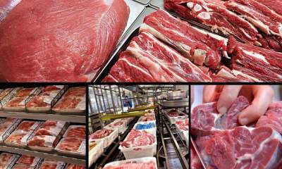 واردات زمینی گوشت از روسیه