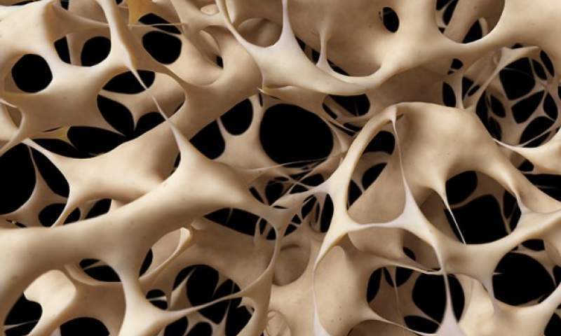 ترمیم بافتهای استخوانی و غضروفی با تولید جوهر زیستی ایرانی