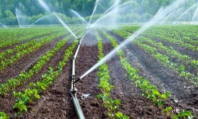 مدرن سازی سیستم آبیاری کشاورزی استان یزد