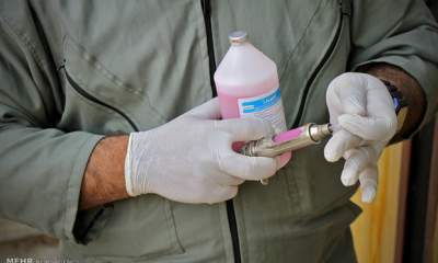 خط جدید واحد تولید واکسن تب برفکی در مهاباد راه اندازی شد