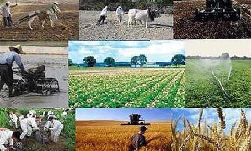 ۱۰ هزار میلیارد ریال تسهیلات برای خرید محصولات کشاورزی