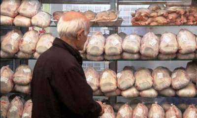 قیمت مرغ در آستانه ورود به کانال ۱۵ هزار تومانی