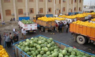 غفلت از صادرات محصولات کشاورزی در کهگیلویه و بویراحمد