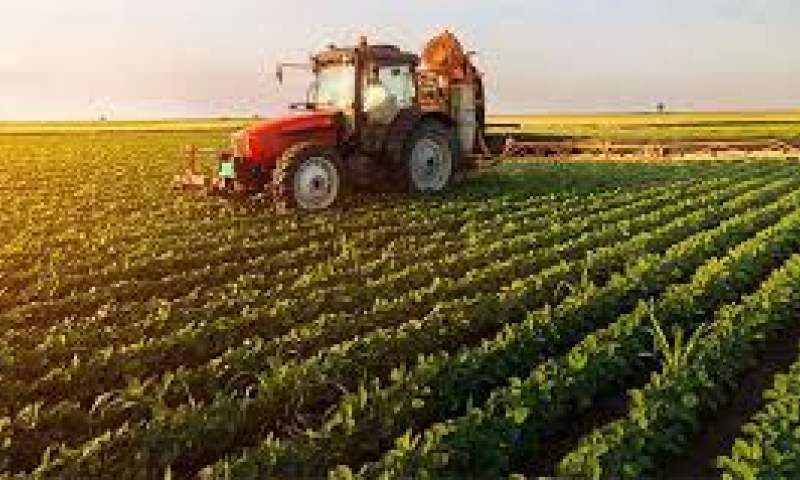 راهبرد سازمان جهاد کشاورزی قم کاهش ضایعات تولید است