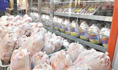 تولید یکهزار و ۴۴۷ تن گوشت سفید در گچساران