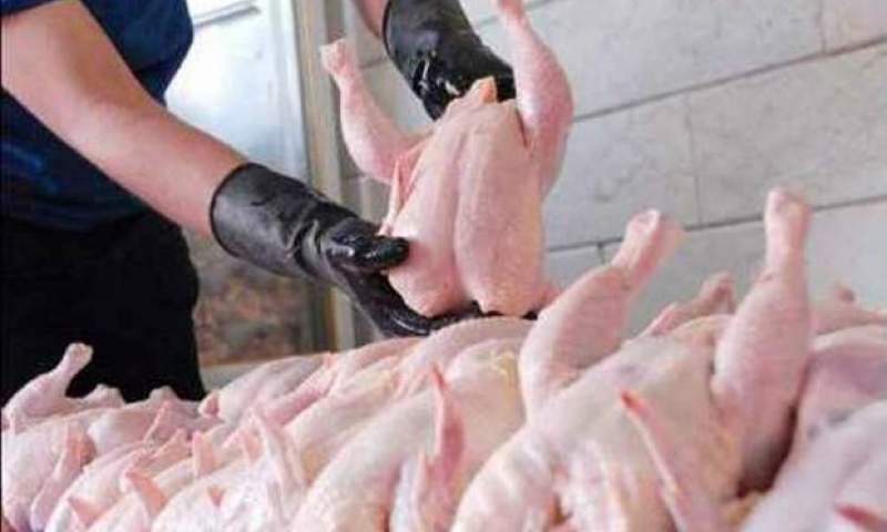 دو دلیل افزایش قیمت تمام شده تولید مرغ