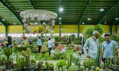 بازدید وزیر نیرو از نمایشگاه گل و گیاه کرج