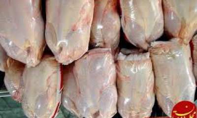 تولید ۹۳۰ تن گوشت مرغ در گرمی مغان