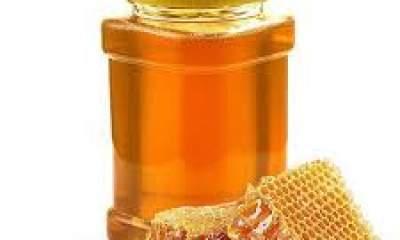 تولید ۶ هزار تن عسل در استان اردبیل