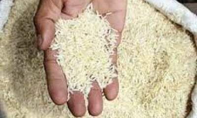 برنج‌های وارداتی از هفته آینده ترخیص می‌شود