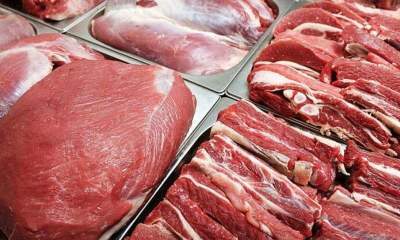 تولید سالانه بیش از ۷ هزار تن گوشت در خاش