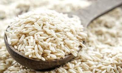دستیابی ایران به رکورد تولید ۲.۹ میلیون تن برنج