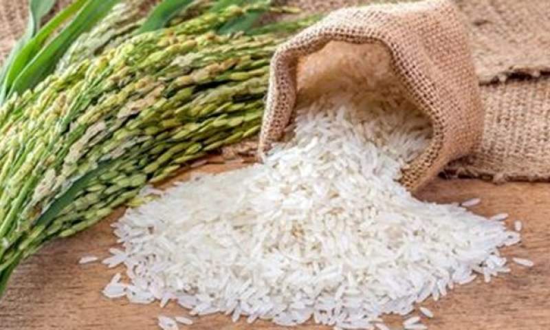 دلواپسی هندی‌ها از فروش برنج به ایران