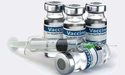 بیش از ۴۱ میلیون دز واکسن دام و طیور در البرز توزیع شد