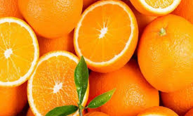 مازندران ۴۰ هزار تن پرتقال شب عید کشور را تامین می‌کند