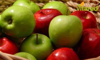 تولید سالانه ۶۳هزار تن سیب درختی در لرستان