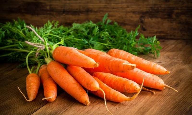 پیش‌بینی برداشت بیش از ۱۱هزار تن هویج در چهارمحال و بختیاری