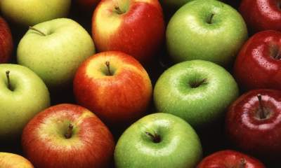 صادرات بیش از 2000 تن سیب درختی از گمرکات آذربایجان غربی