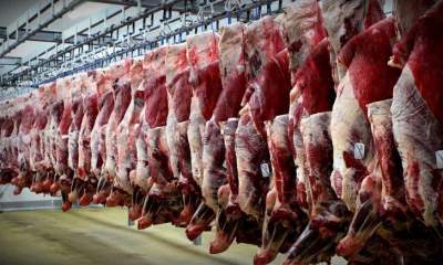 تناقض چند وجهی بازار گوشت
