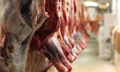 کاهش محسوس قیمت گوشت قرمز