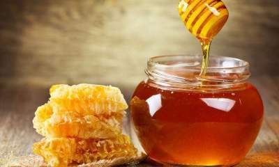 کردستان قطب تولید عسل