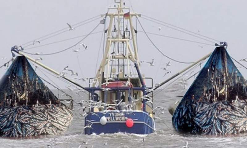 54 فروند شناور فانوس ماهی صید می کنند