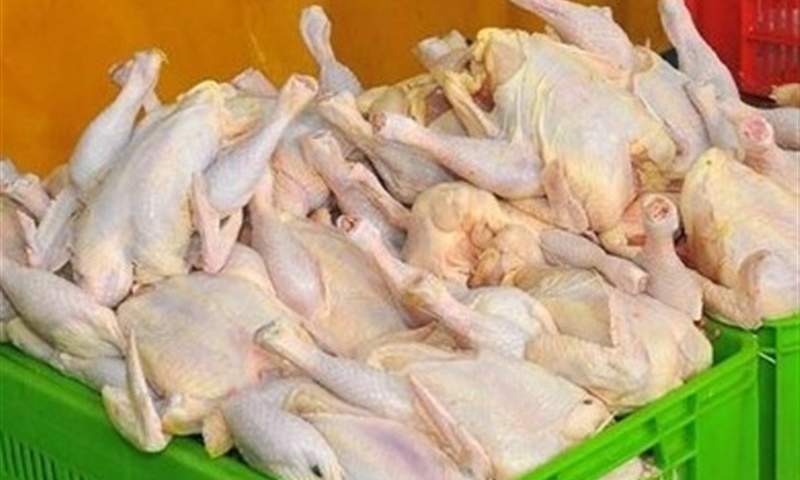 مجوز واردات ۴۵ هزار تن مرغ صادر شد