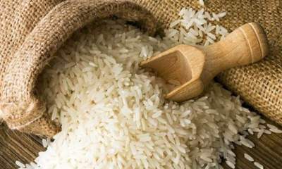 عرضه برنج‌های وارداتی در انبارها از امروز
