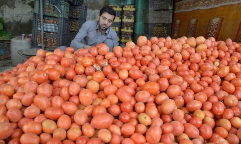 افزایش واردات گوجه از ایران به پاکستان