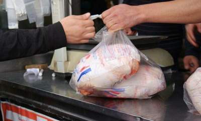 گوشت مرغ پایین‌تر از نرخ مصوب دولتی در آذربایجان‌شرقی عرضه می‌شود
