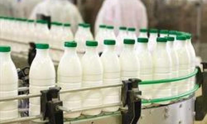 خرید شیرخام با نرخ ۳ هزار تومان از دامداران تکذیب شد