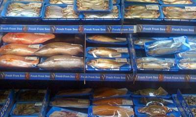 ۷۸ تُن ماهی منجمد از کردستان صادر شد