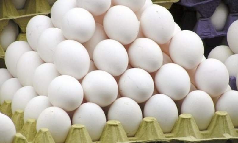 قیمت تخم مرغ به ۷ هزار و ۶۰۰ تومان رسید