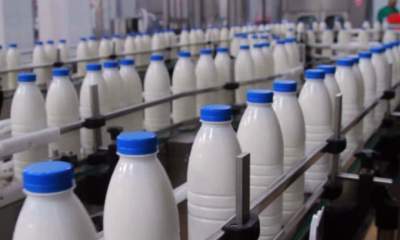 توان ایران در تولید شیرخام