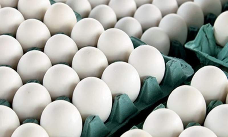 صادرات ۲۷ هزار تن تخم‌مرغ به کشورهای حاشیه خلیج فارس