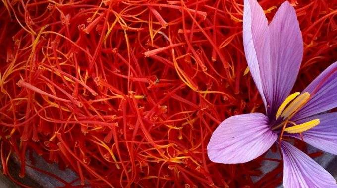 صادرات 300 تنی زعفران با چمدان از کشور