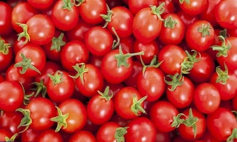 گوجه‌فرنگی و پیاز؛ دارای بیش‌ترین کاهش و افزایش قیمت