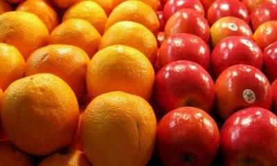 نامه اتحادیه کشاورزی به جهانگیری: اجازه صادرات مازاد تولید سیب و پرتقال را صادر کنید