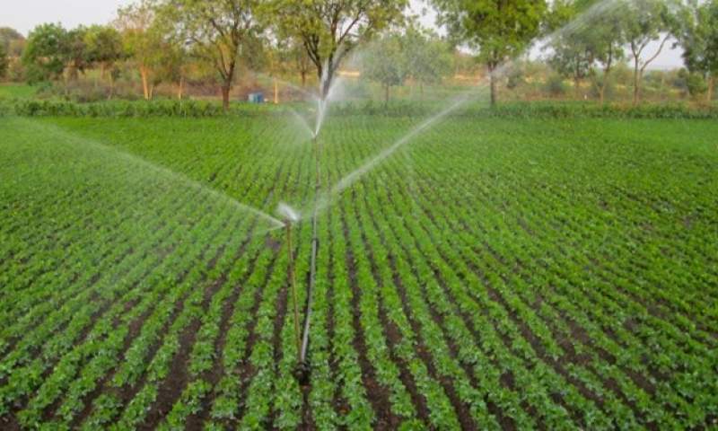 مصرف آب کشاورزی کمتر از ۷۰ درصد است