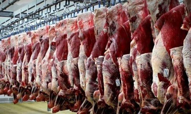قول سازمان حمایت برای کنترل قیمت گوشت قرمز
