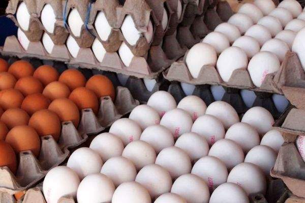 صادرات تخم مرغ به ۳۳ هزار تن رسید