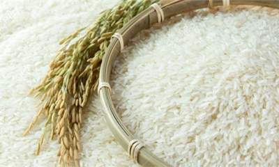 درخواست تخصیص ارز برای500 هزار تن برنج و ارداتی