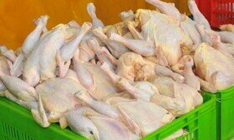 کاهش ۲۰۰۰ تومانی قیمت مرغ