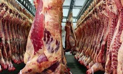 بازار گوشت اشباع شده است؛ کاهش نرخ دام زنده در بازار