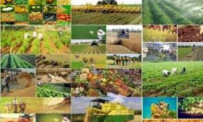 افزایش 3 تا ۴ برابری تولیدات کشاورزی منطقه مغان
