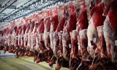 پارادوکس در بازار گوشت؛ تولید و قیمت همزمان بالاست